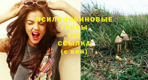 MDMA Красноперекопск