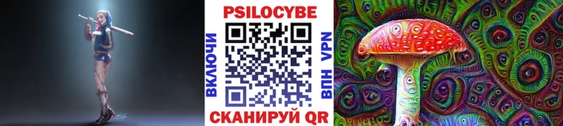 Галлюциногенные грибы Psilocybe  купить наркоту  Чекалин 